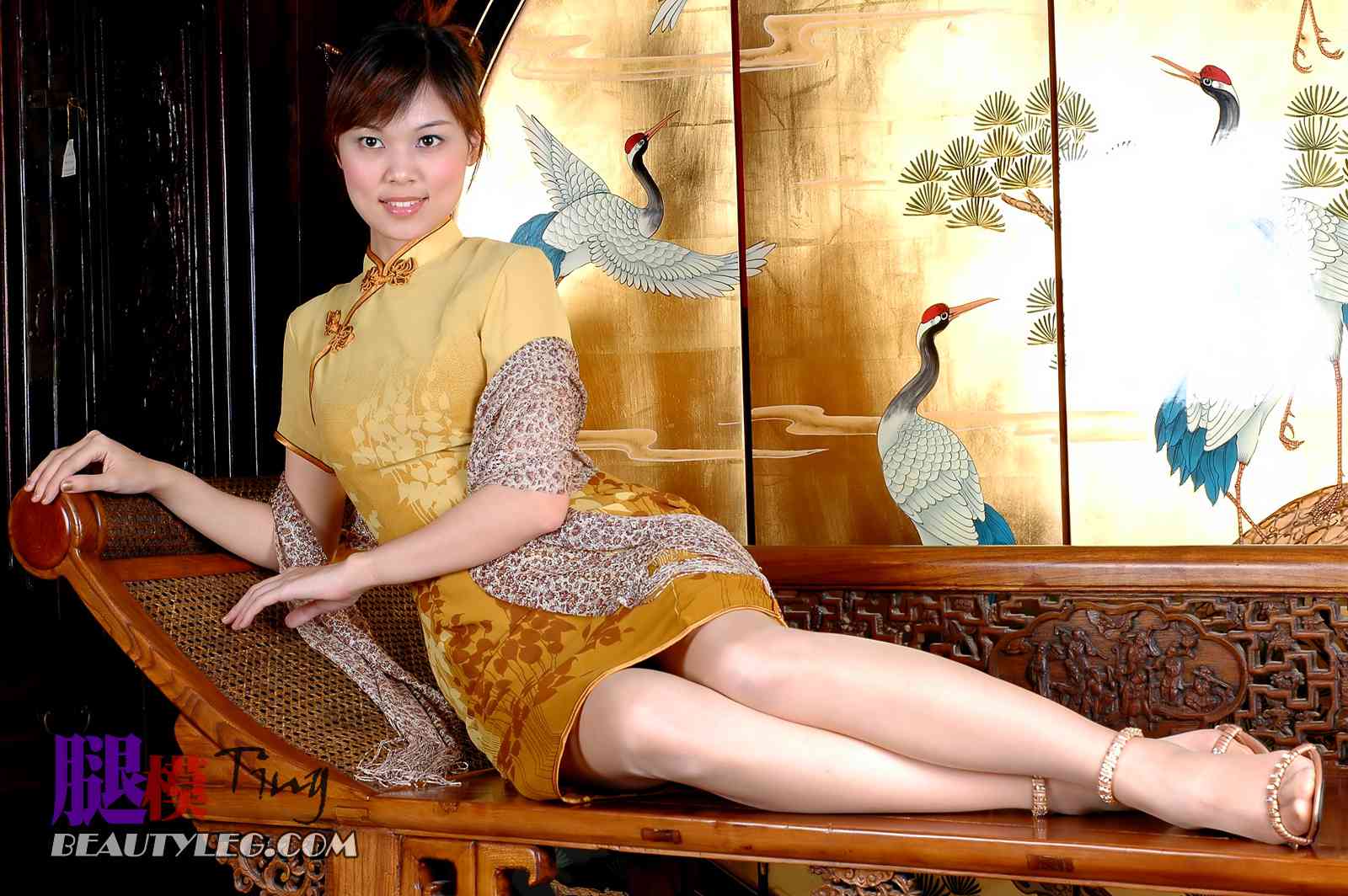 [BeautyLeg] No.016 Ting 在现浏览第2张