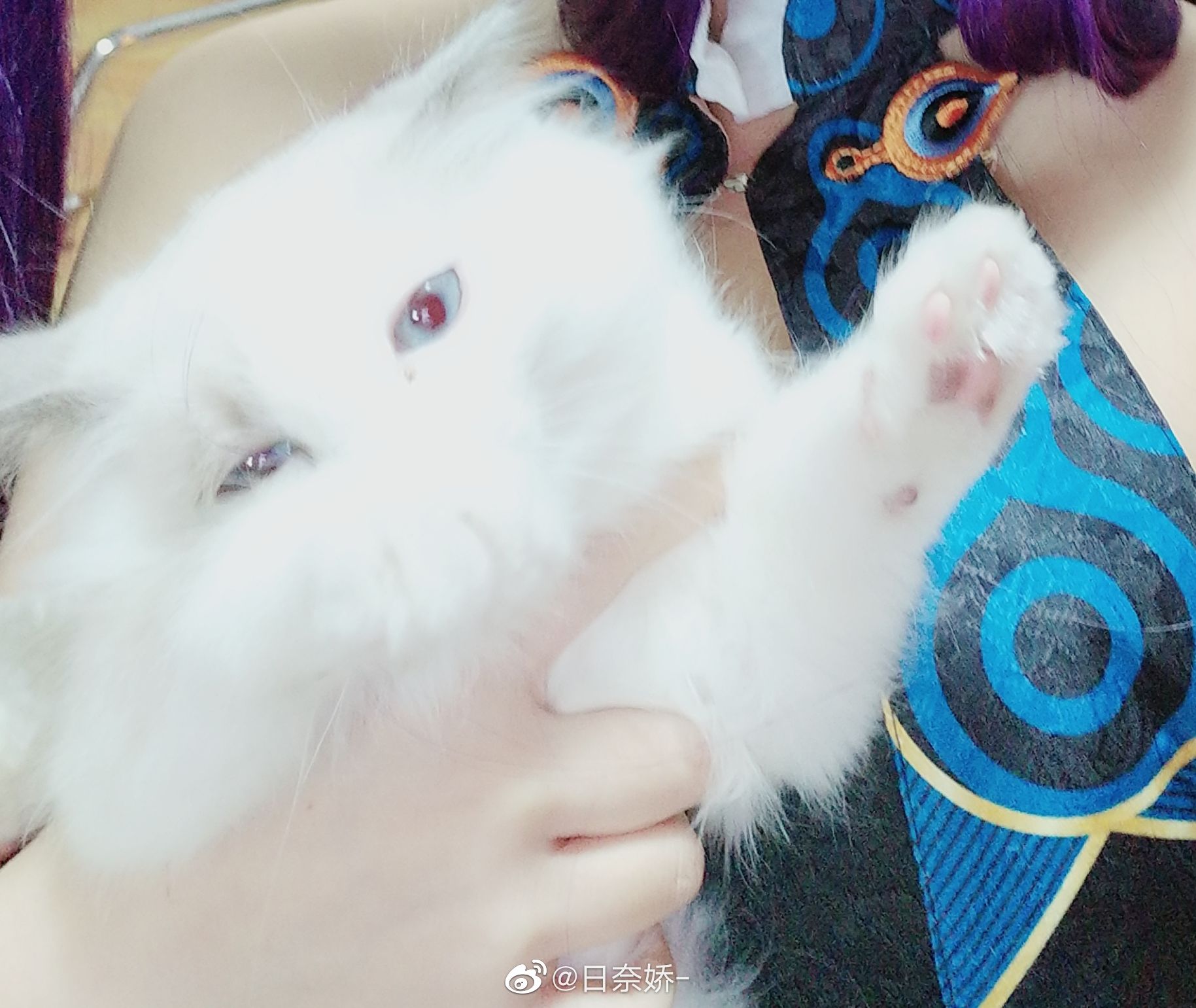 [COS福利] 日奈娇 - 杨贵妃第3张