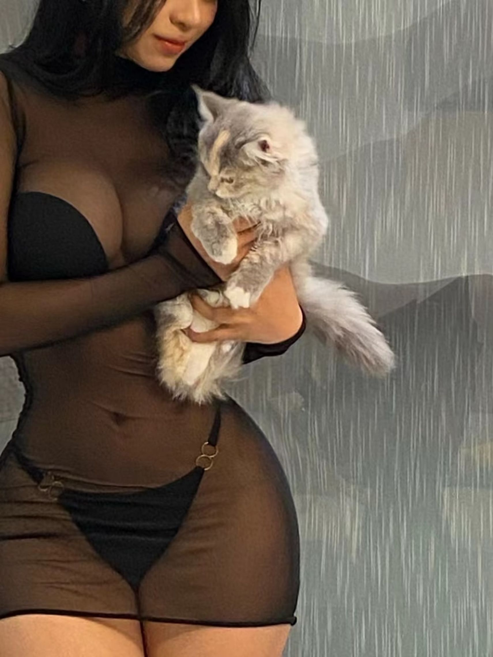 [福利COS] 蜀黍纾纾 微密圈视图合集第60张