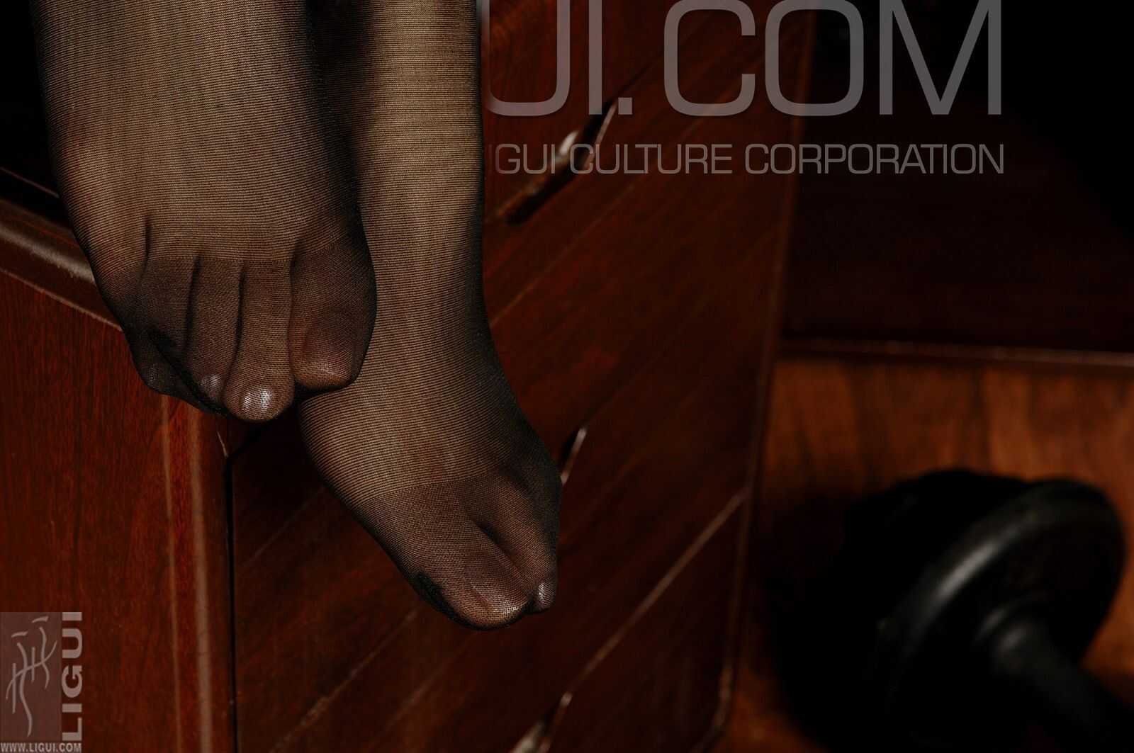 [丽柜LiGui] Model 海伦《丝襪的诱惑》丝足写真集图第8张