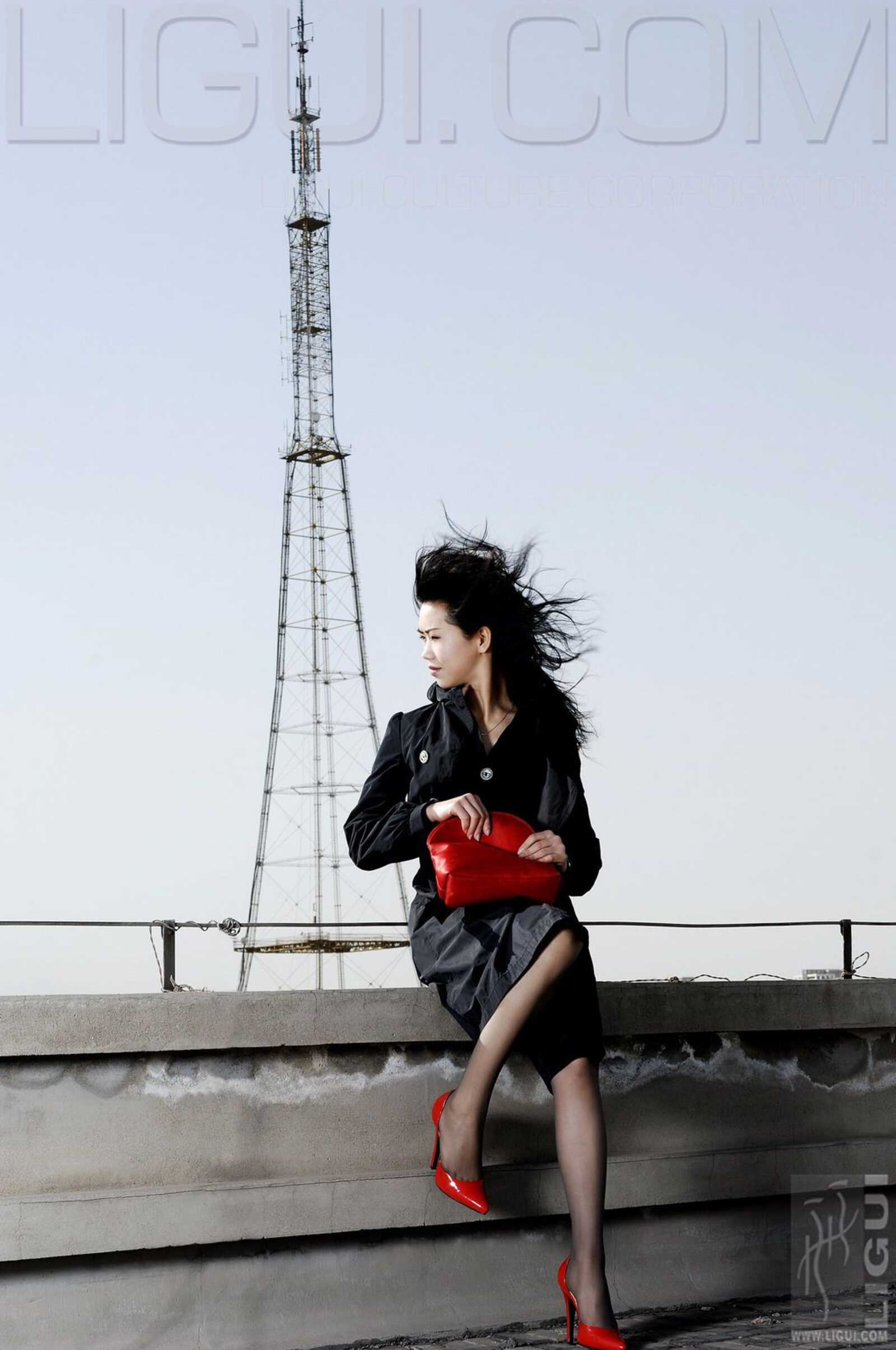 [丽柜LiGui] Model 程海伦《紅與黑》丝足写真图片第10张