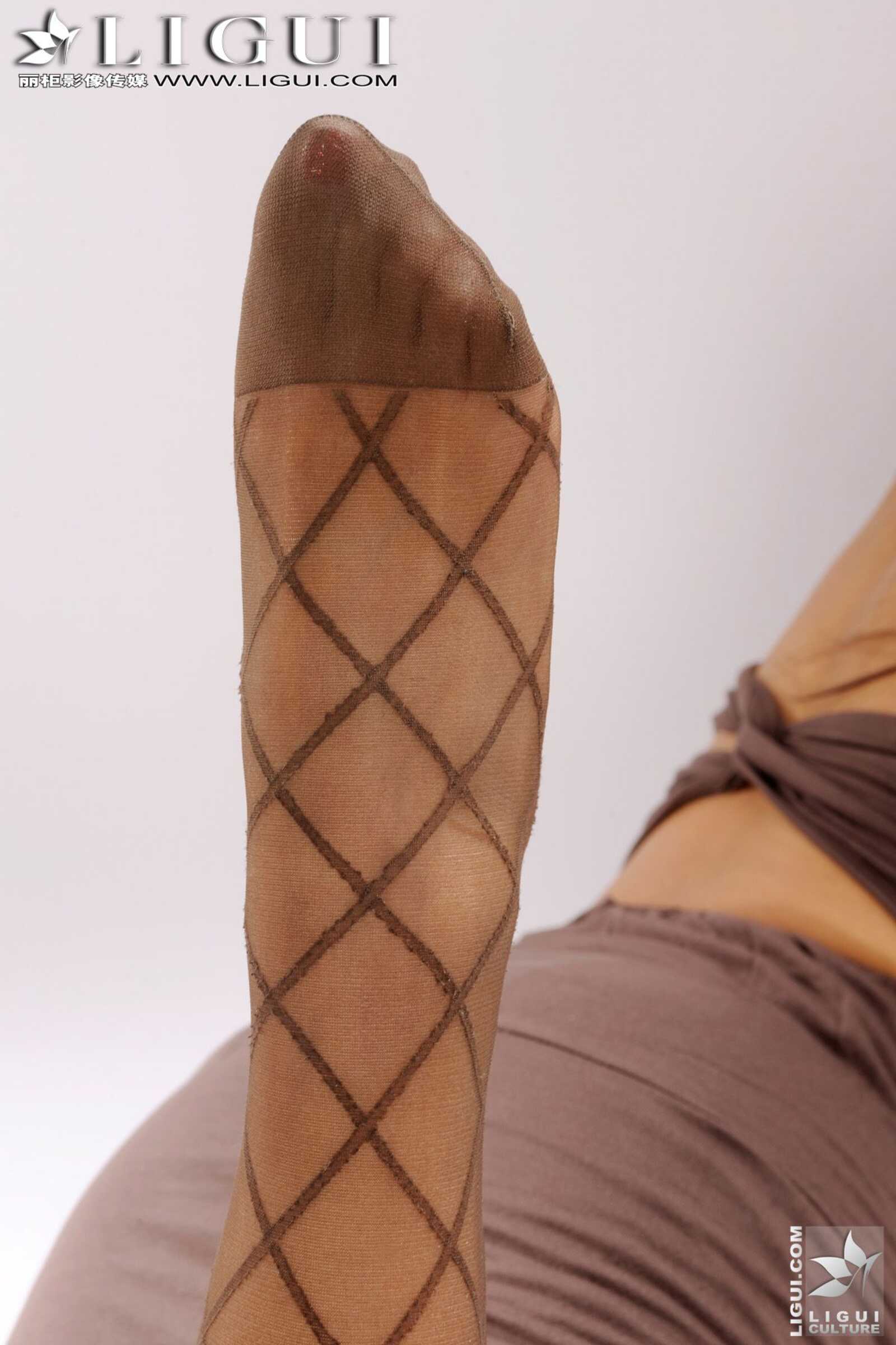 Model 田甜《网丝的诱惑》 [丽柜LiGui] 美腿玉足写第2张