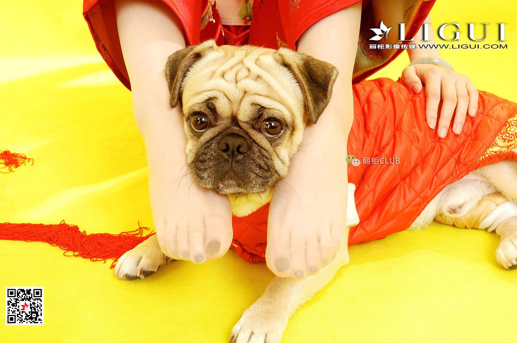 璐璐《新春丝足》 [丽柜LIGUI] 网络丽人 写真集第2张