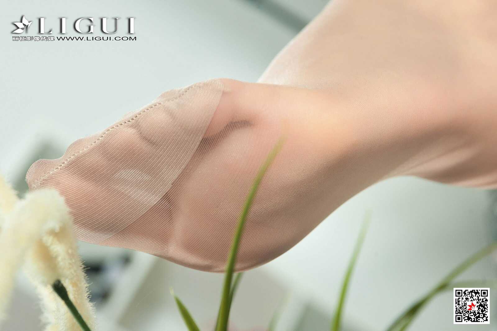 腿模若溪《肉丝袜OL丝足》 [丽柜Ligui] 写真集第2张