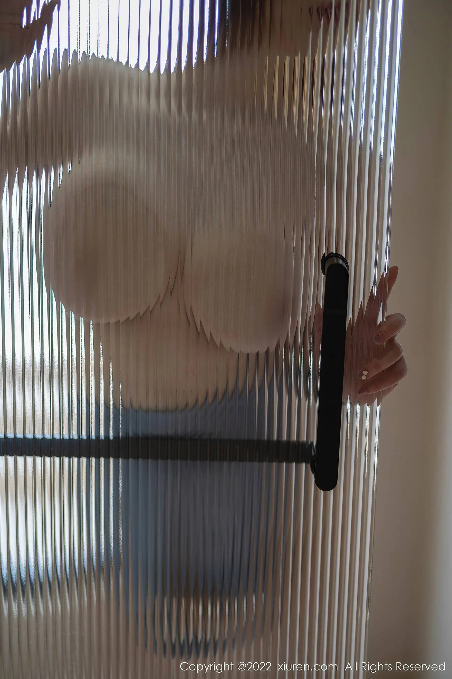 秀人网 No.5878 妲己_Toxic 美臀美腿第13张