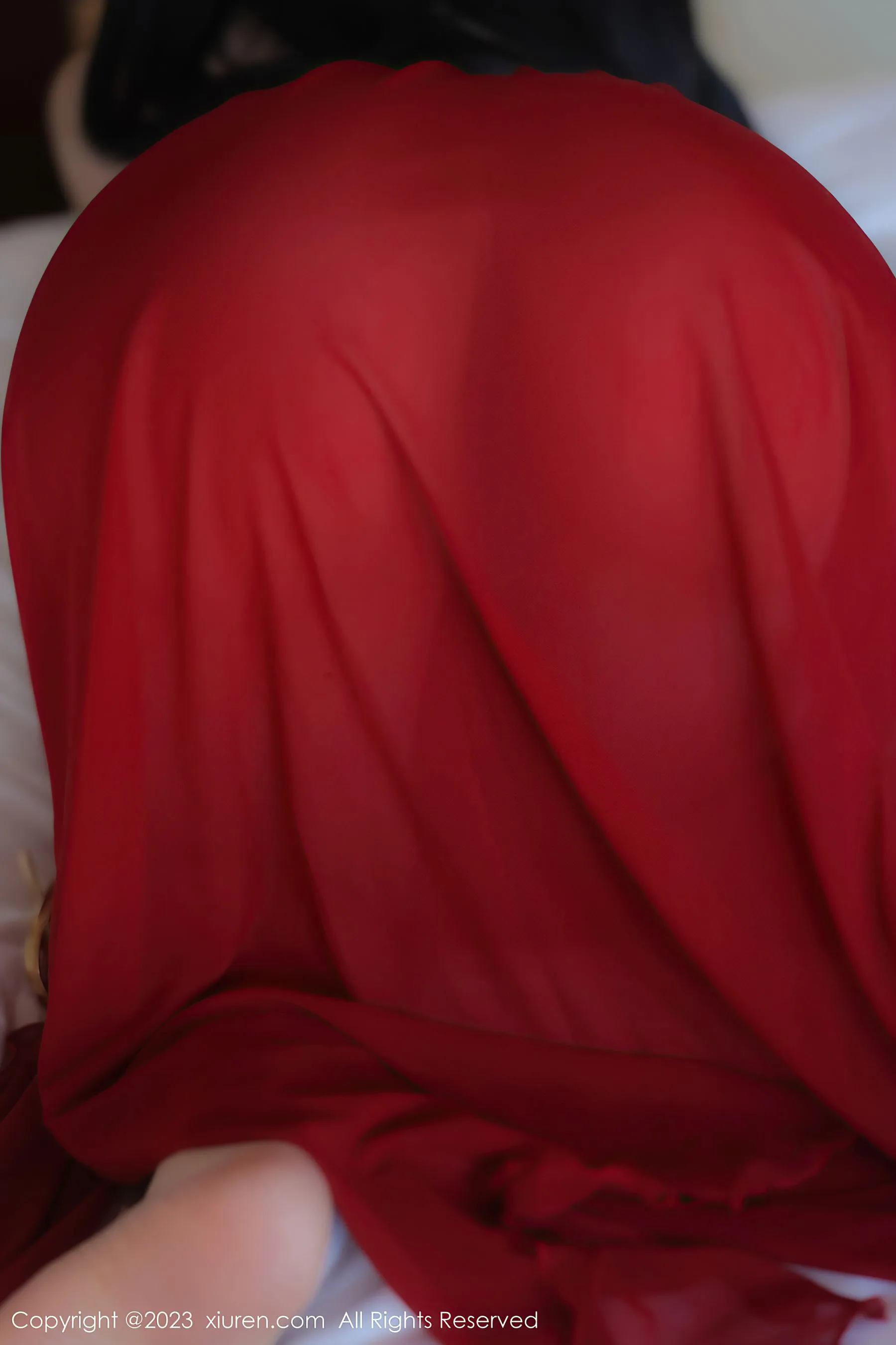  秀人网 No.6613 林珊珊第22张