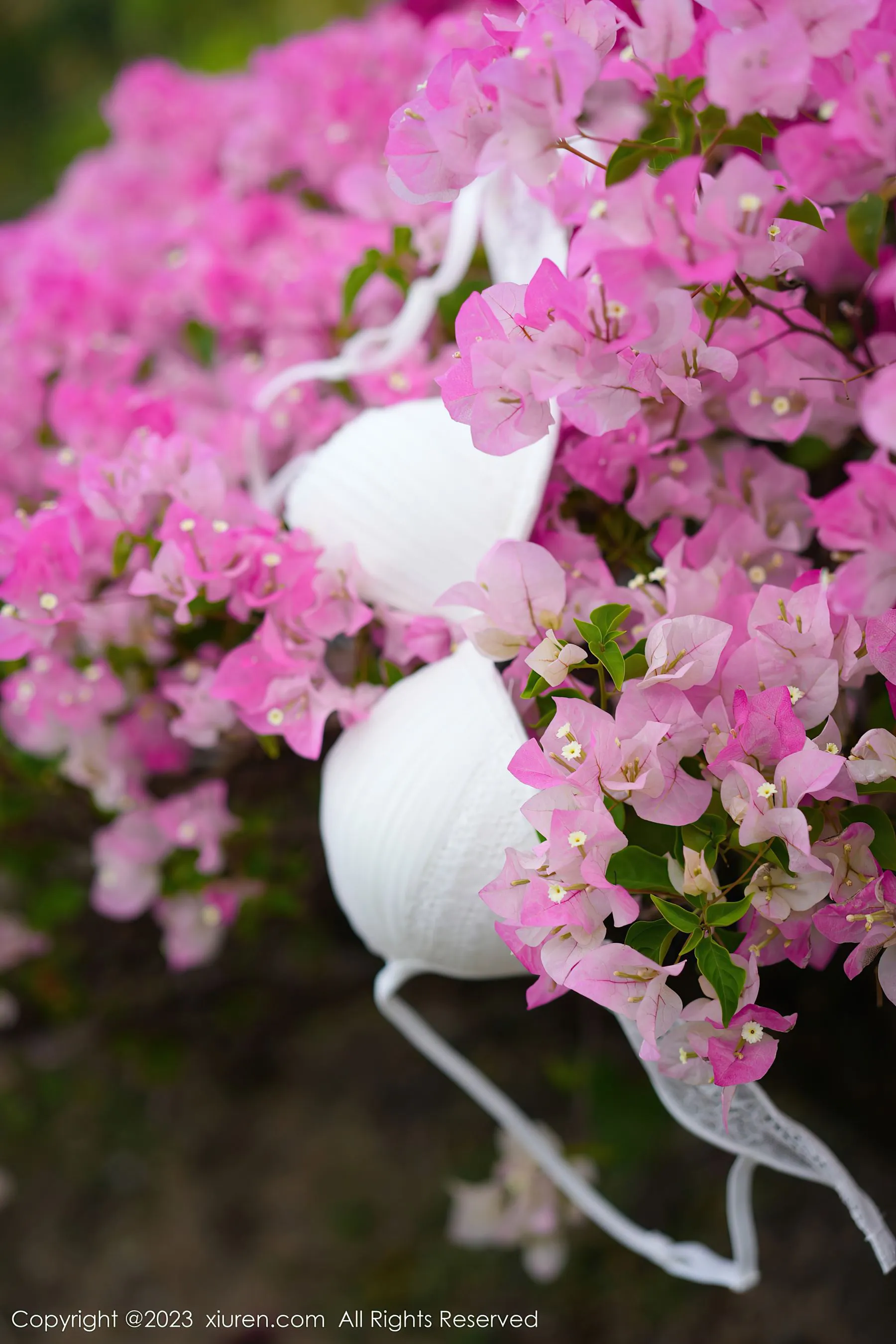  秀人网 No.6359 laura阿姣 泰国旅拍第12张