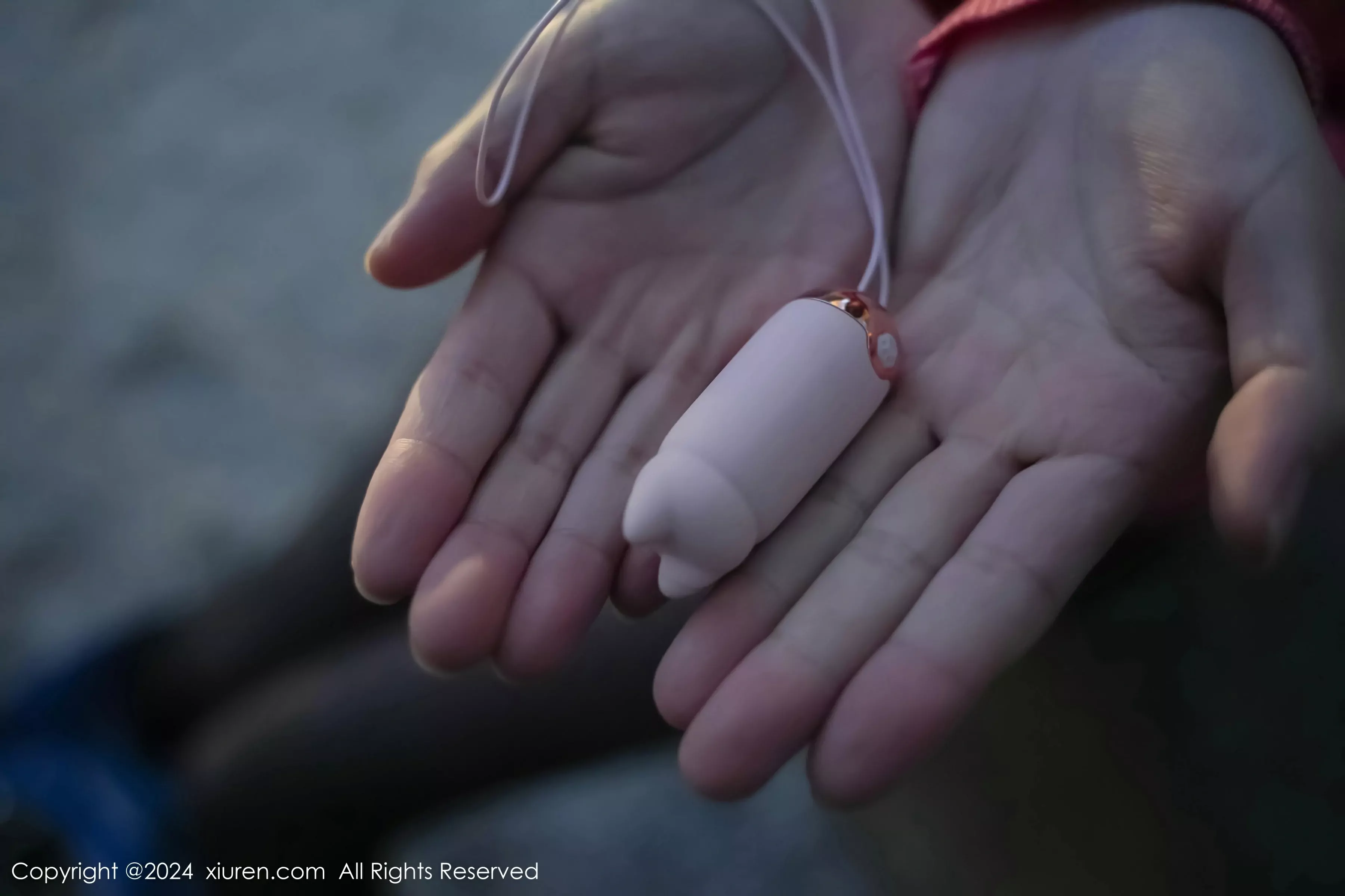  XiuRen 秀人 No.8091 龙雪儿 新人模特 [69P]第10张