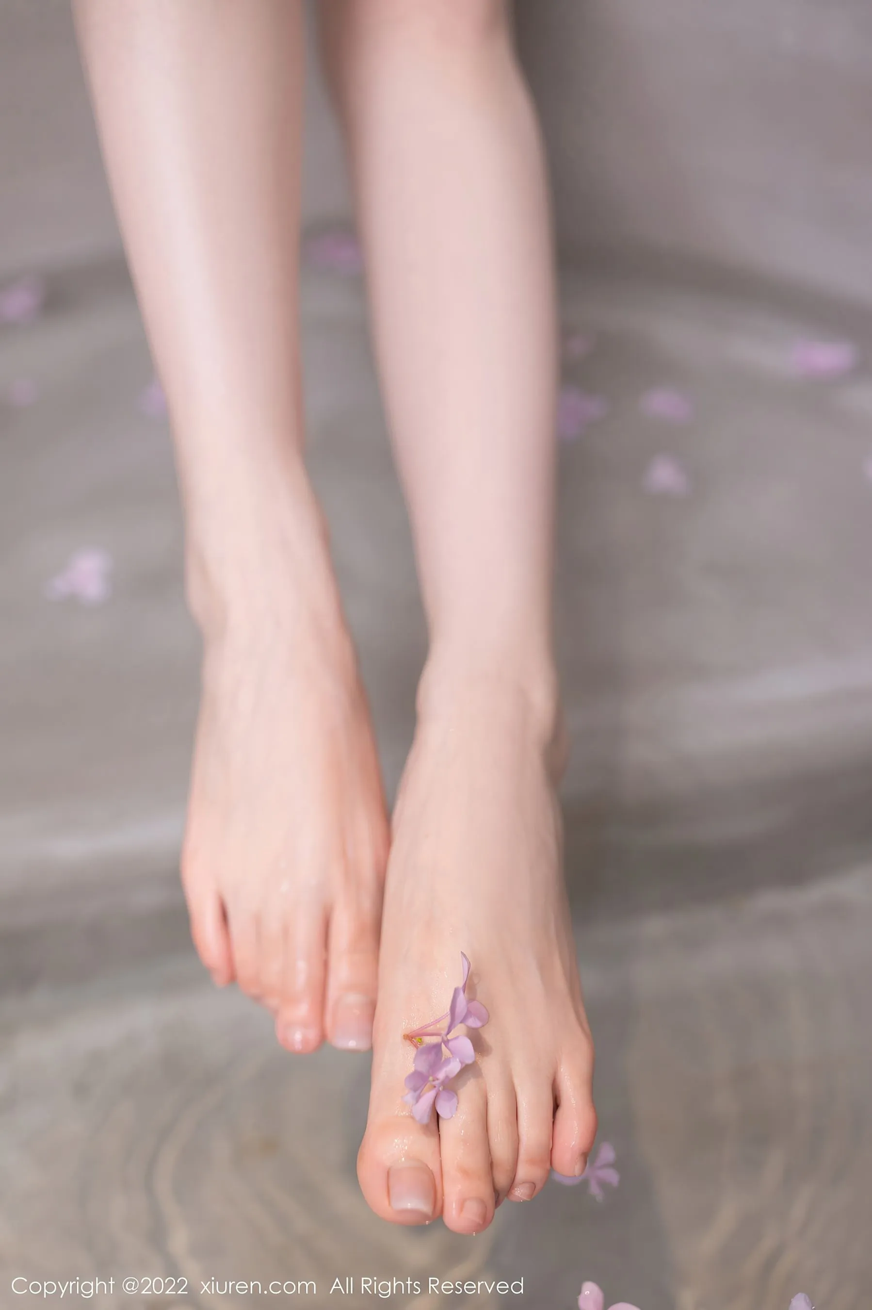 秀人网 No.5979 鱼子酱Fish第5张