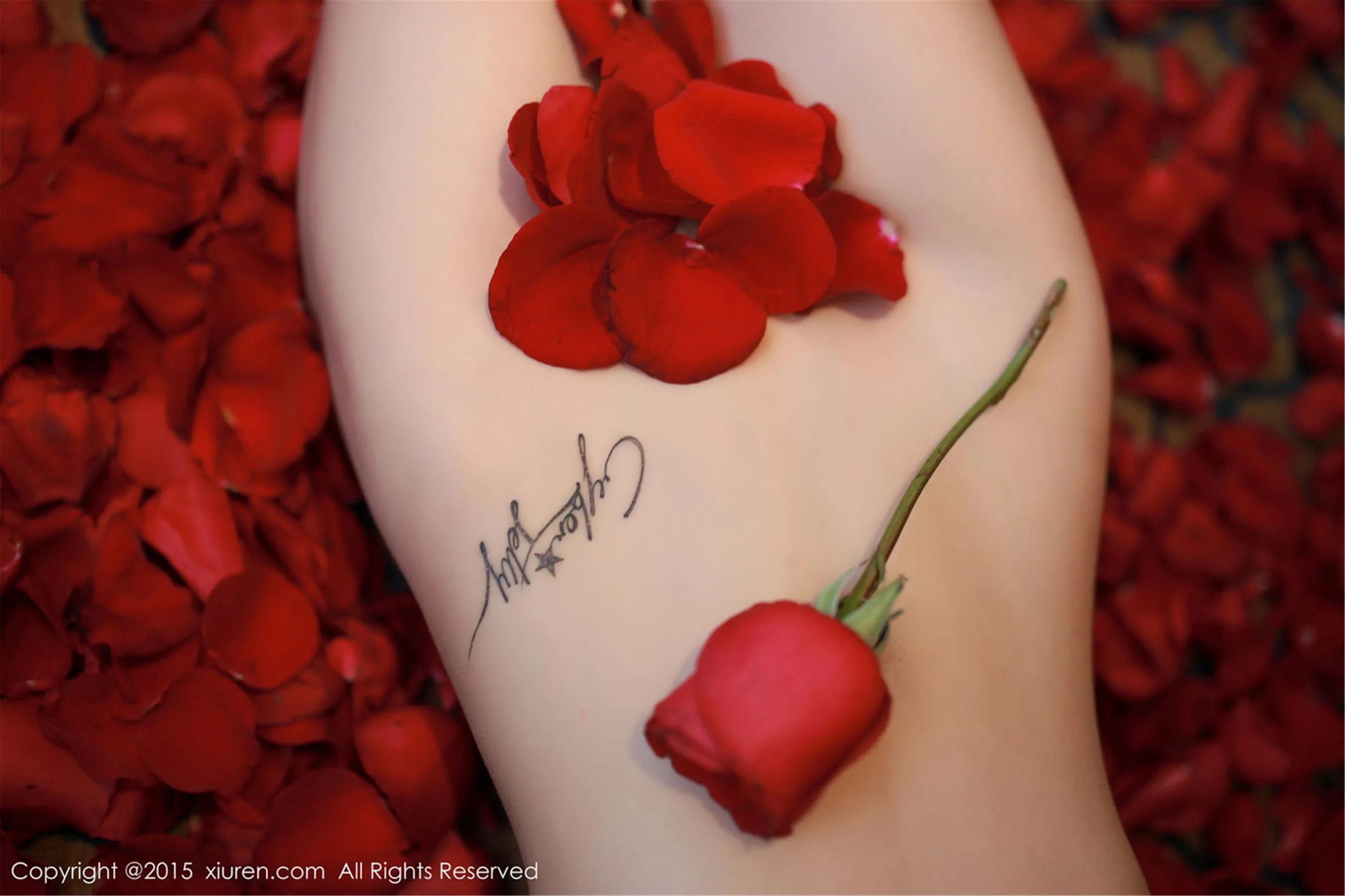 CyberJelly霜爷《性感内衣私房系列》 秀人网 No.276第9张