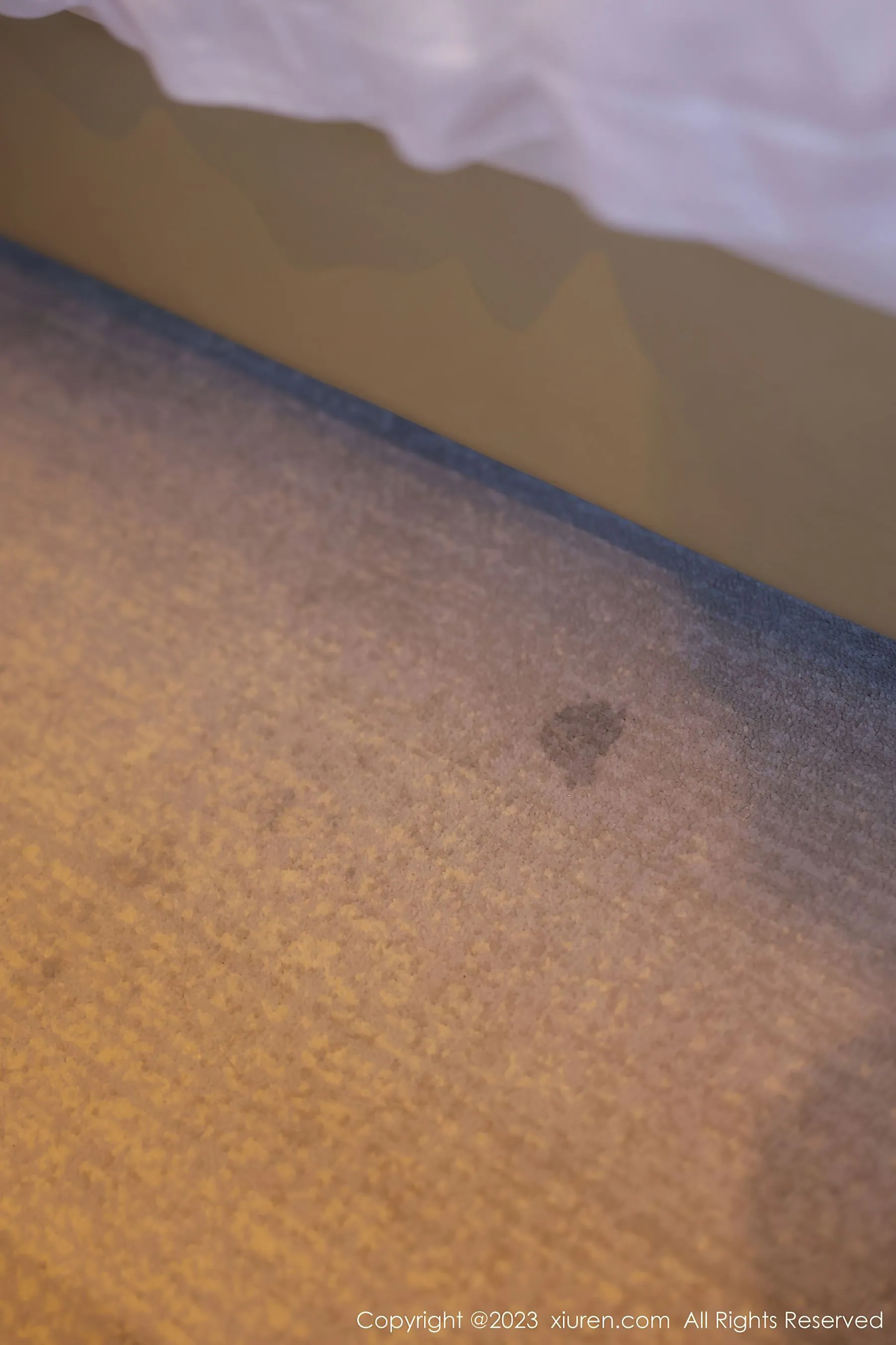 秀人网 No.6329 谢小蒽 短裙美腿第26张