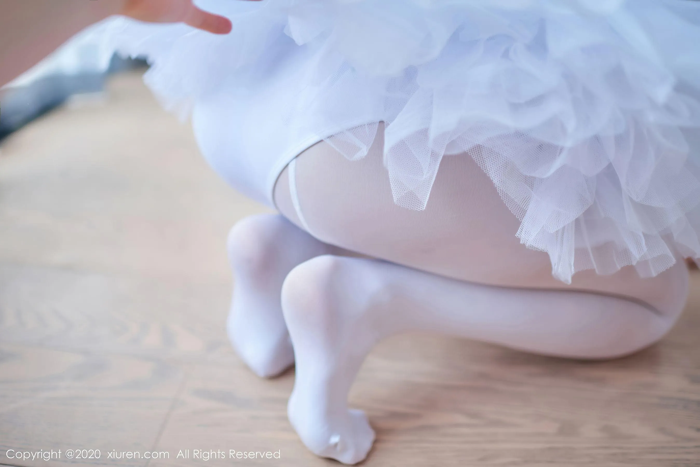 秀人 No.2560 白露小猪第10张