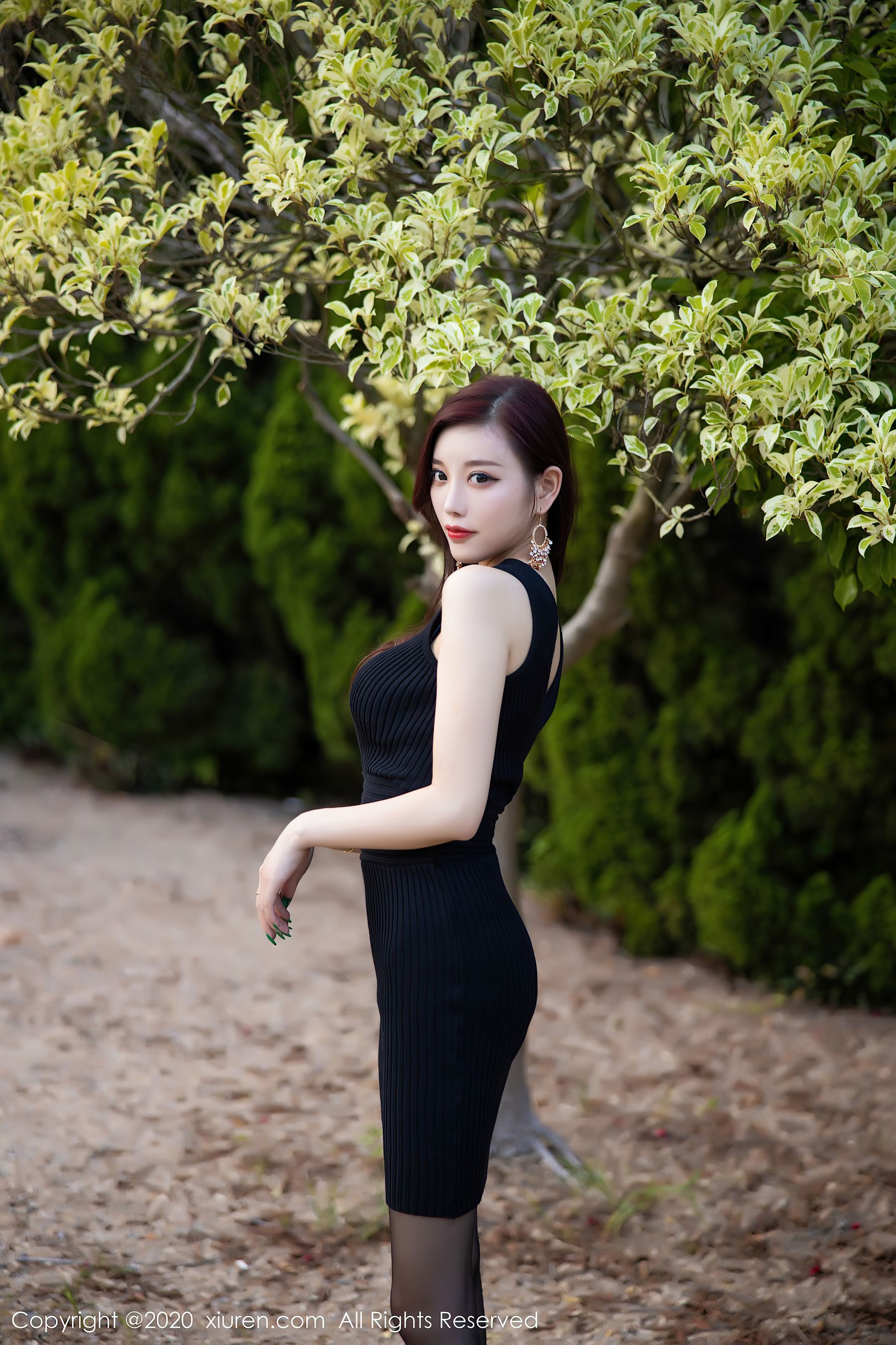 秀人 No.2648 杨晨晨sugar第25张