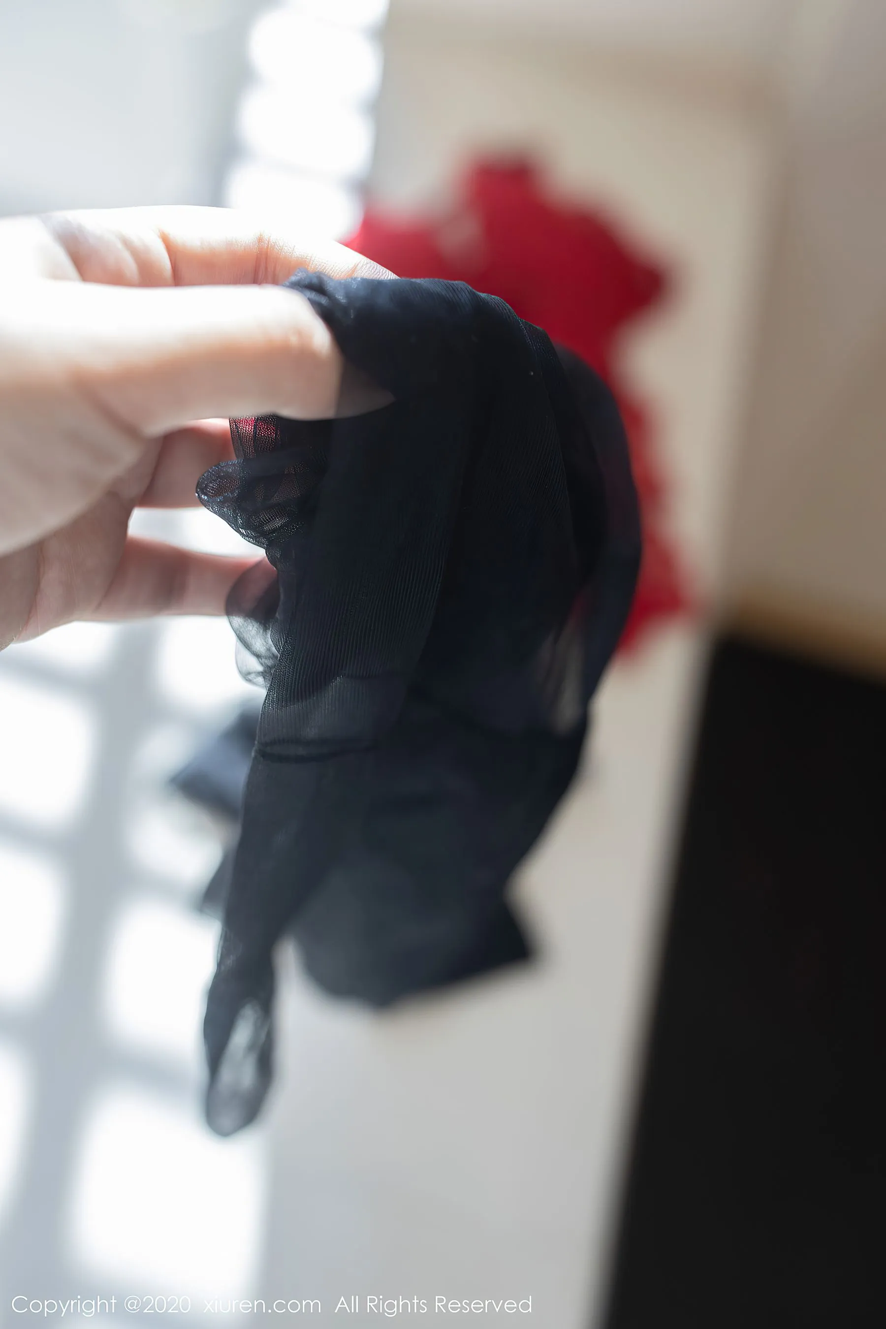 秀人 No.2876 陈小喵第2张