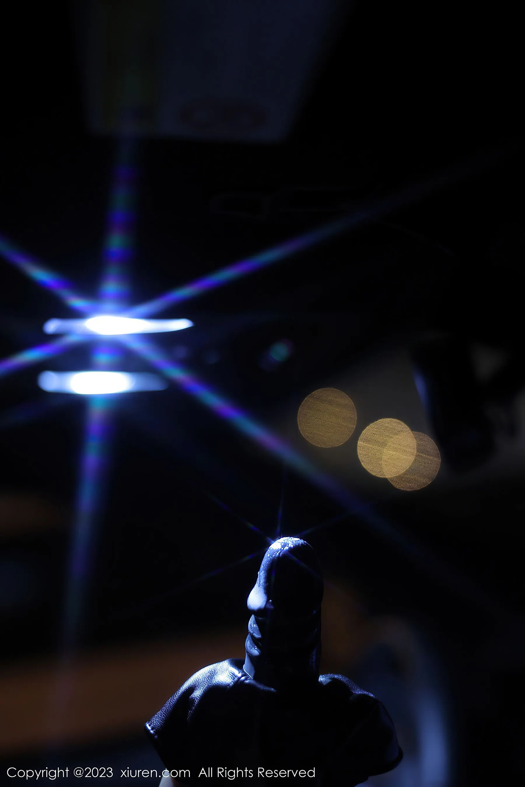  秀人网 No.6650 江真真 黑丝美臀第25张