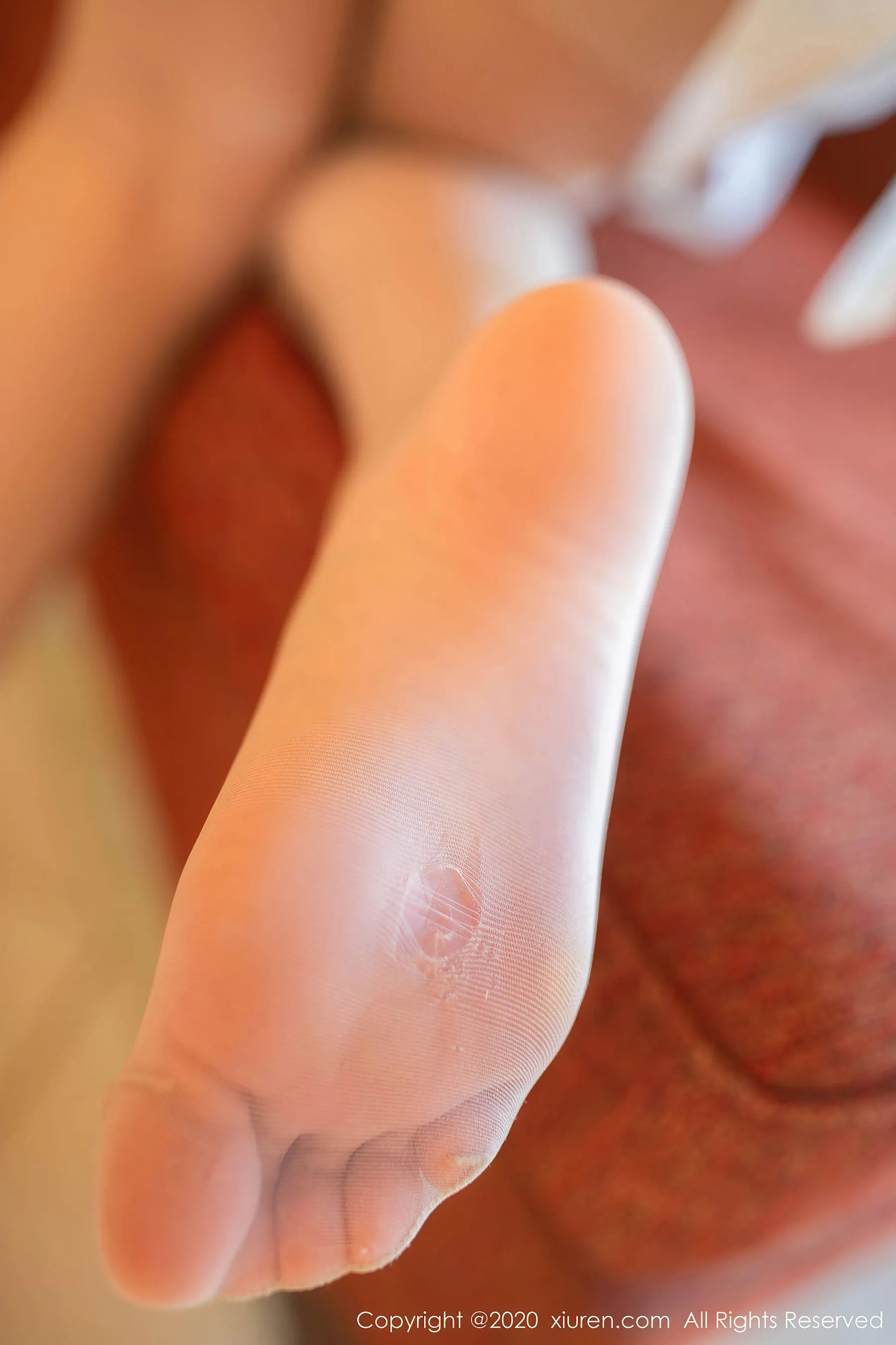  秀人XIUREN No.2389 就是阿朱啊第19张