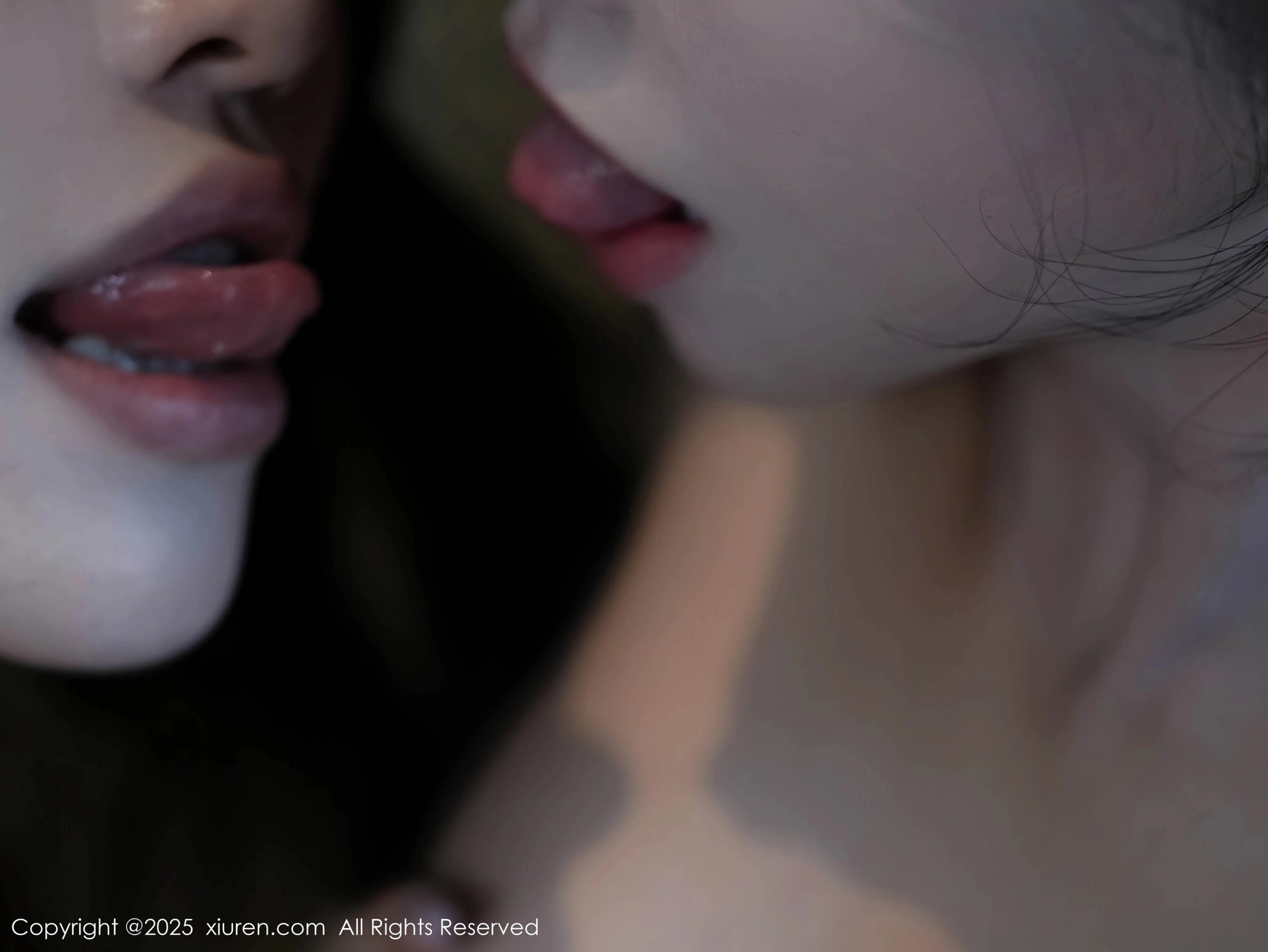  秀人网 模特合集 Vol.10961 [53P]第11张