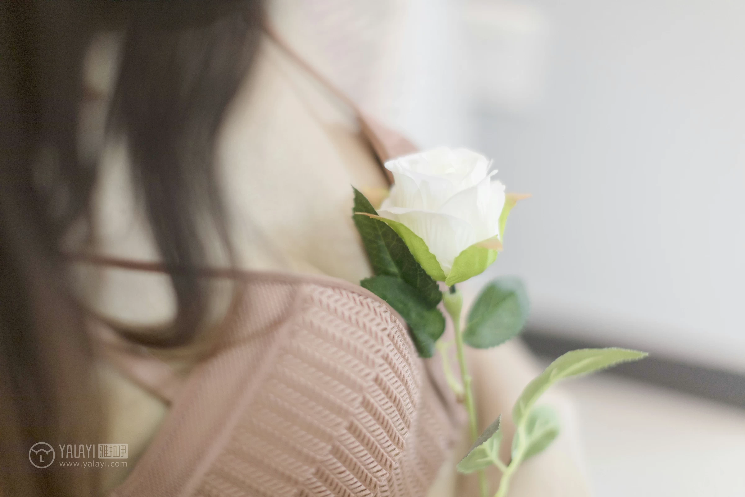 [YALAYI雅拉伊]No.320 少女与玫瑰 高若童 粉色内衣加白色蕾丝内裤性感私房写真集第3张