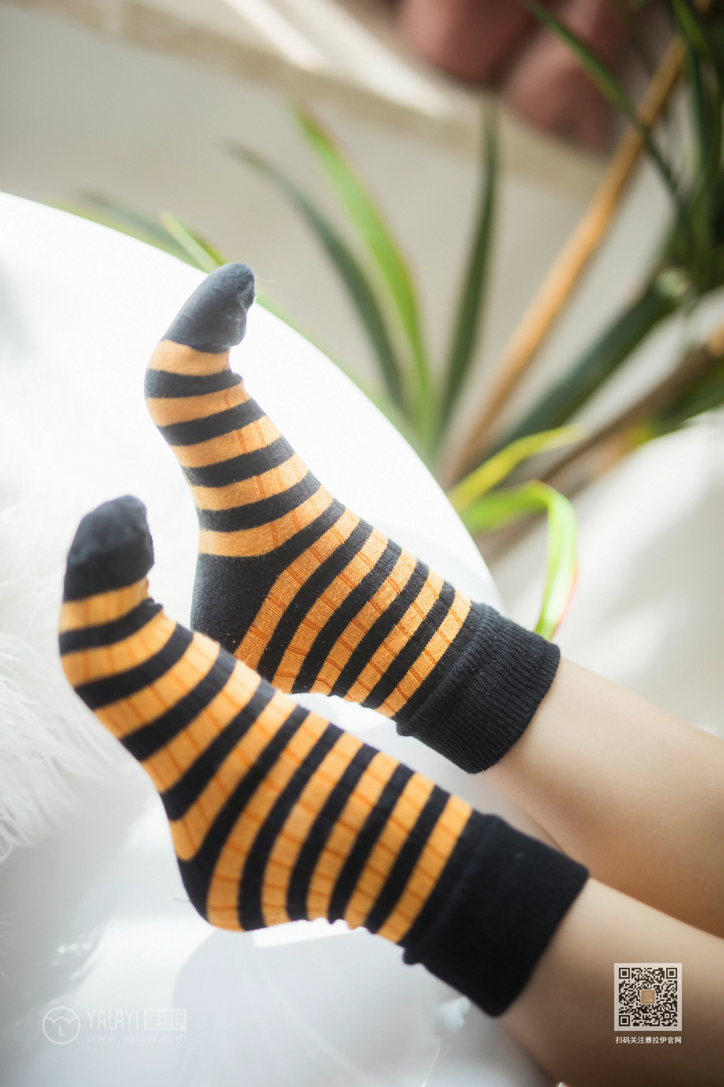 [YALAYI雅拉伊]Vol.528 缤纷阳光 粉粉 橙色卫衣加白色性感内衣私房写真集第4张